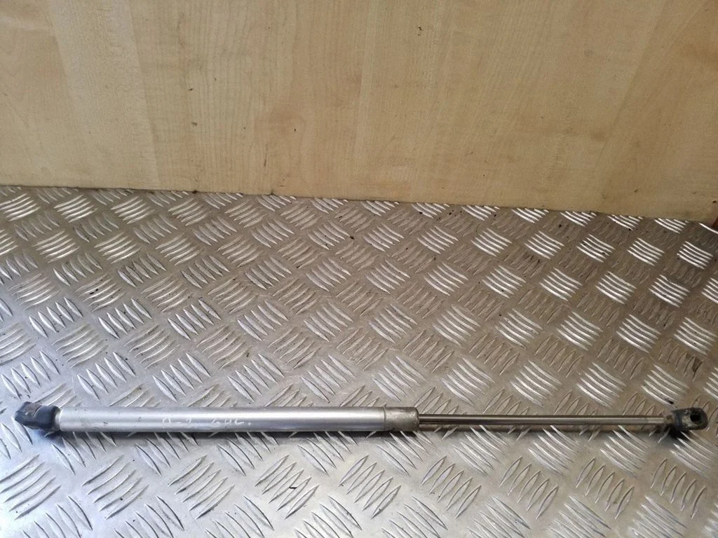 Tailgate/trunk strut/damper