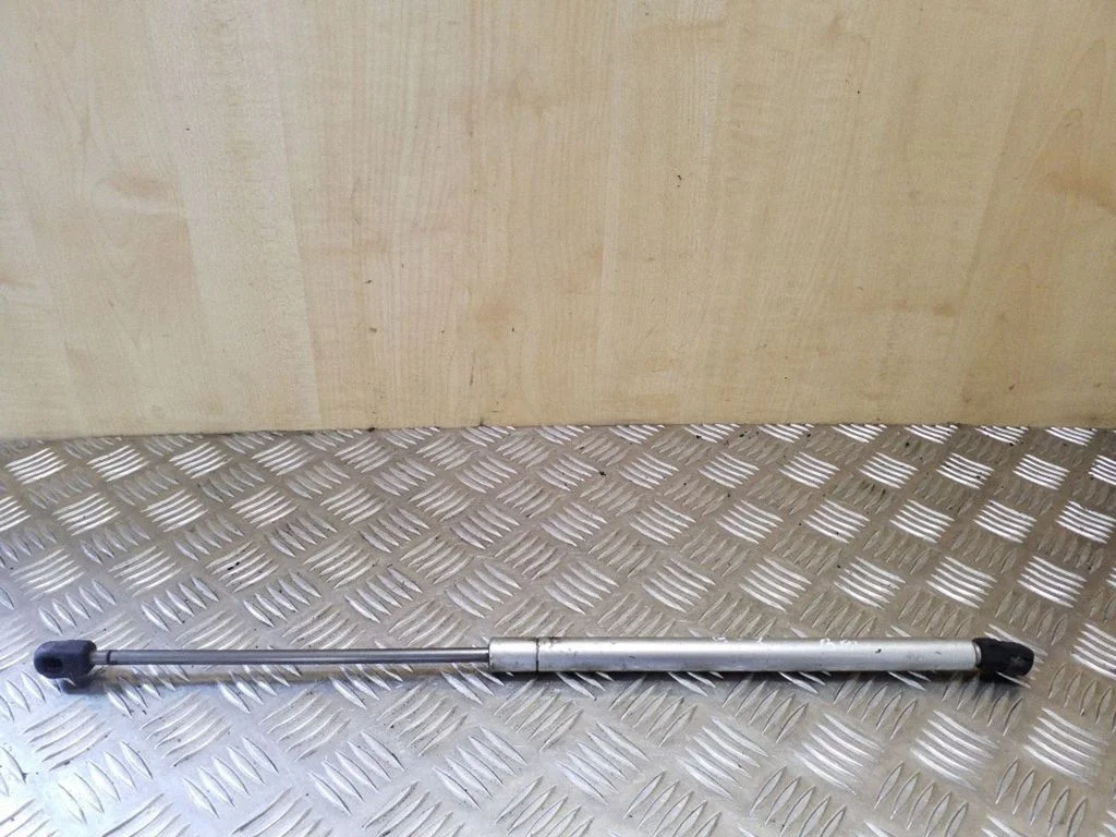 Tailgate/trunk strut/damper