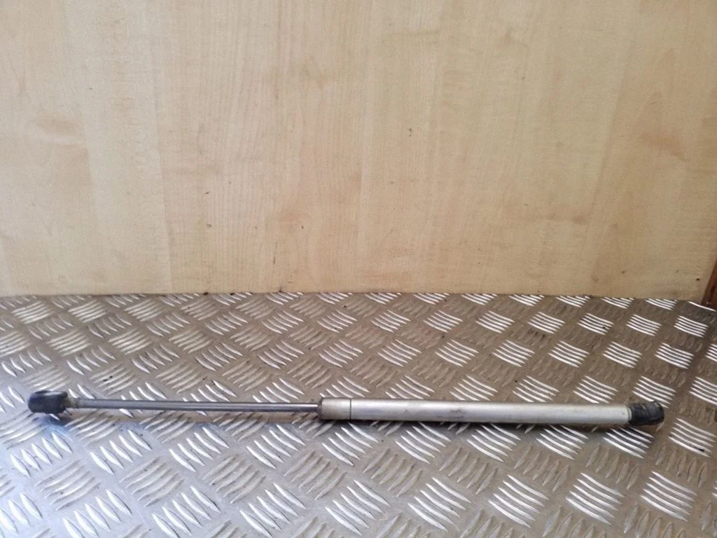 Tailgate/trunk strut/damper