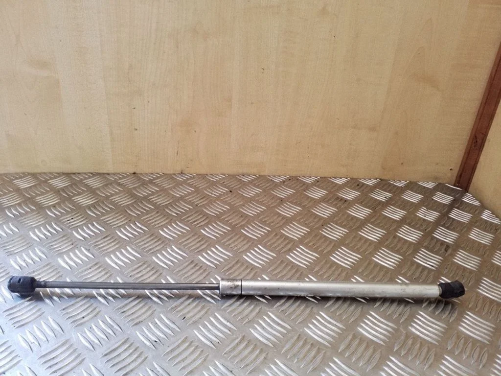 Tailgate/trunk strut/damper