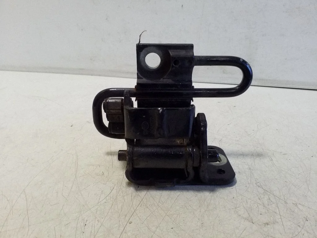 Front door lower hinge 8E0831411B