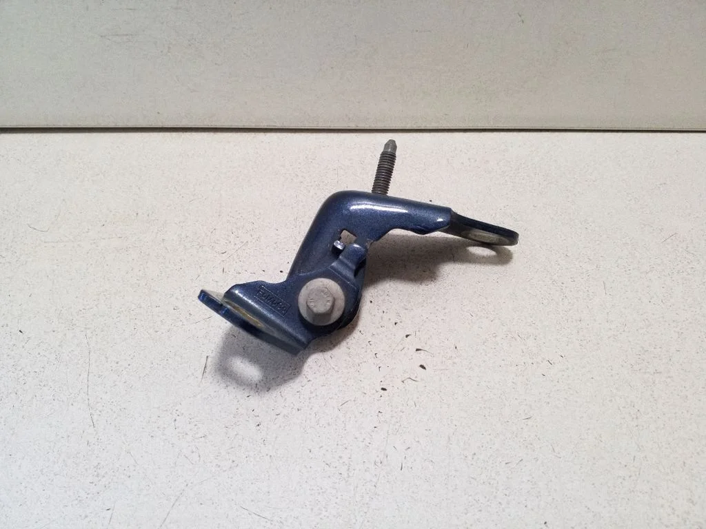 Front door lower hinge H1BBA22810AD