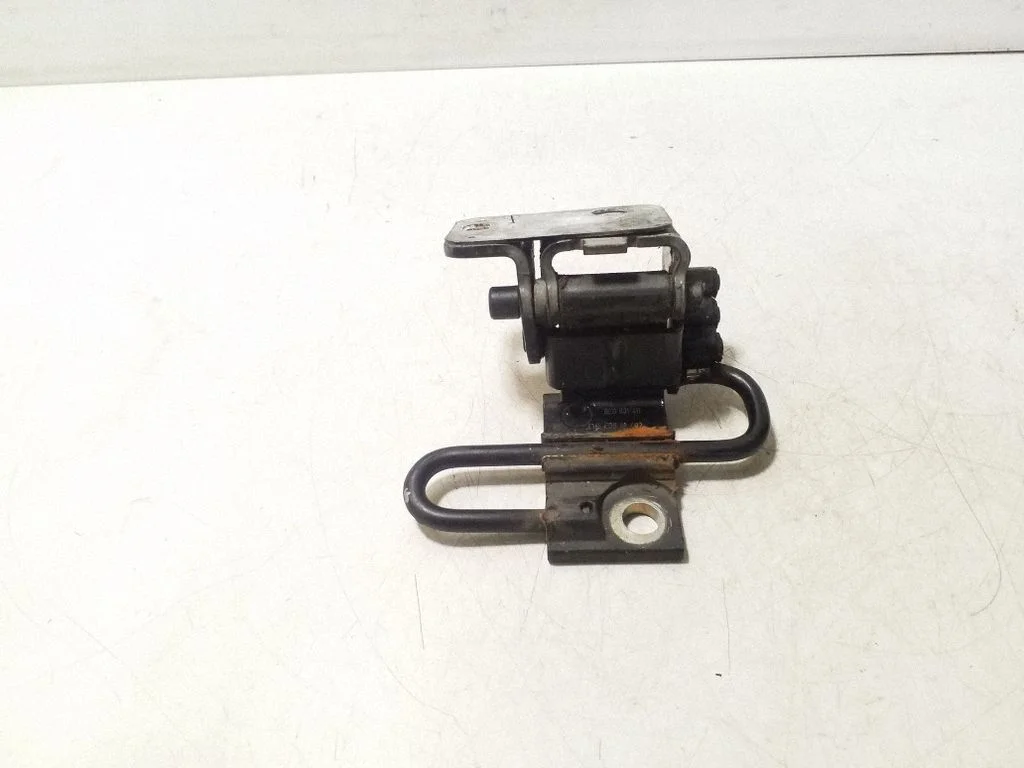 Front door lower hinge 8E0831411