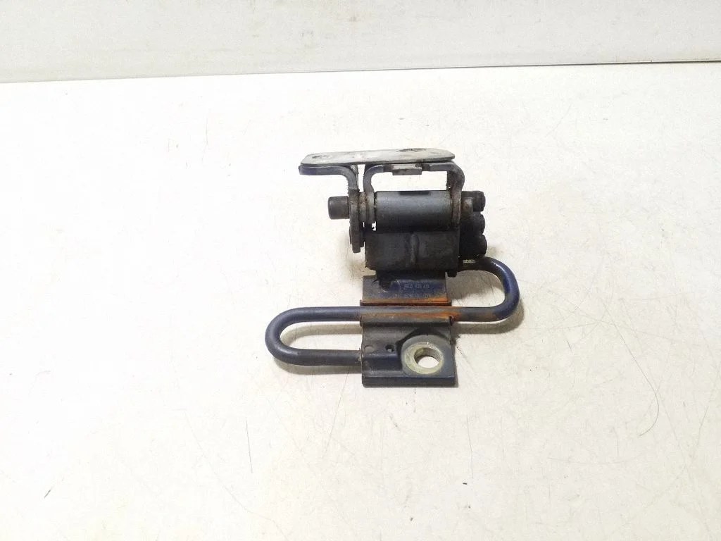Front door lower hinge 8E0831411