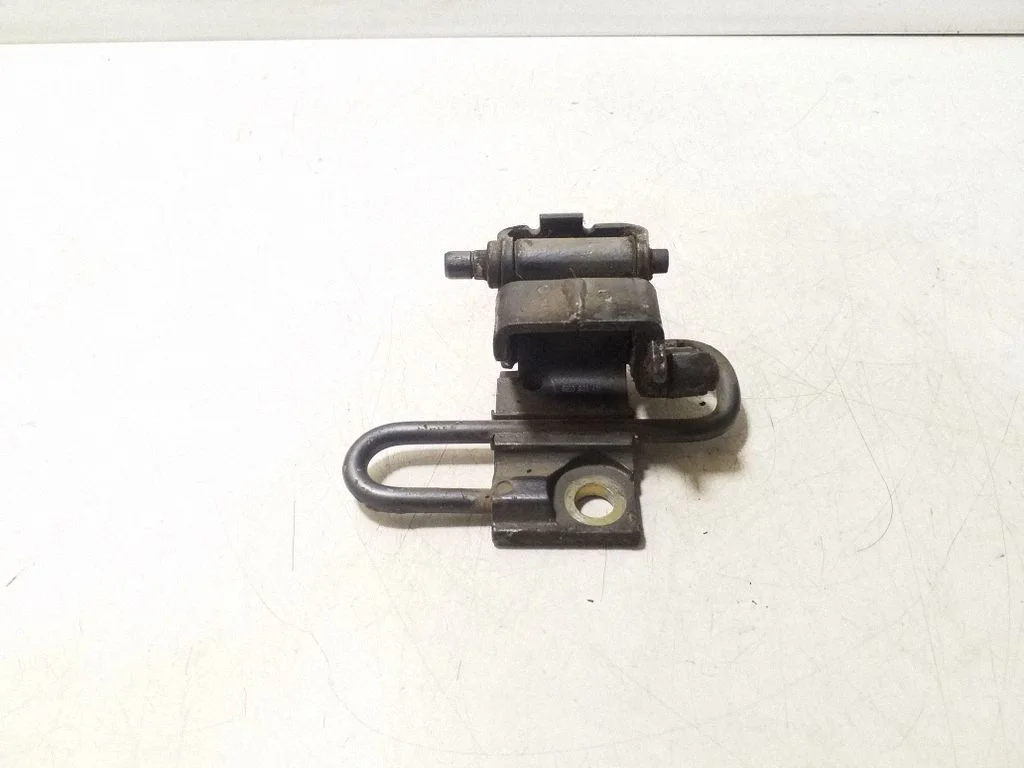 Front door lower hinge 8E0831411