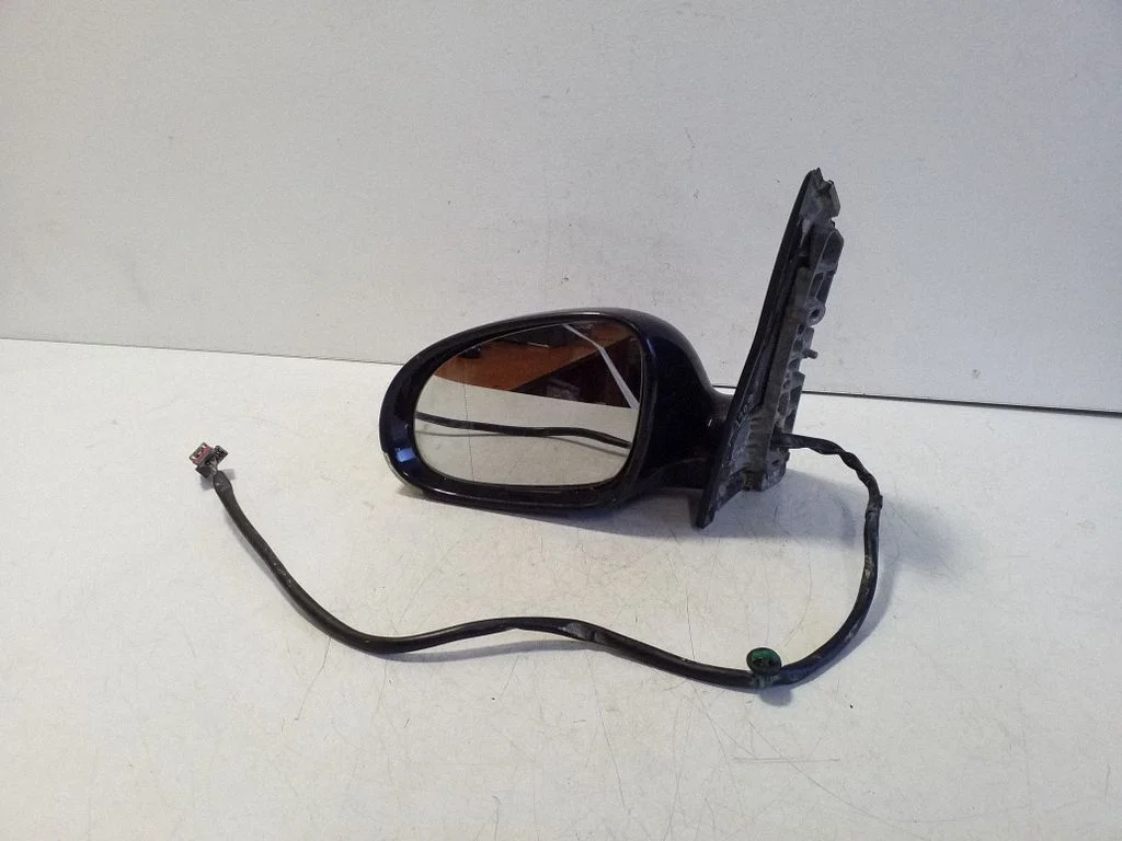 Front door electric wing mirror E1010836