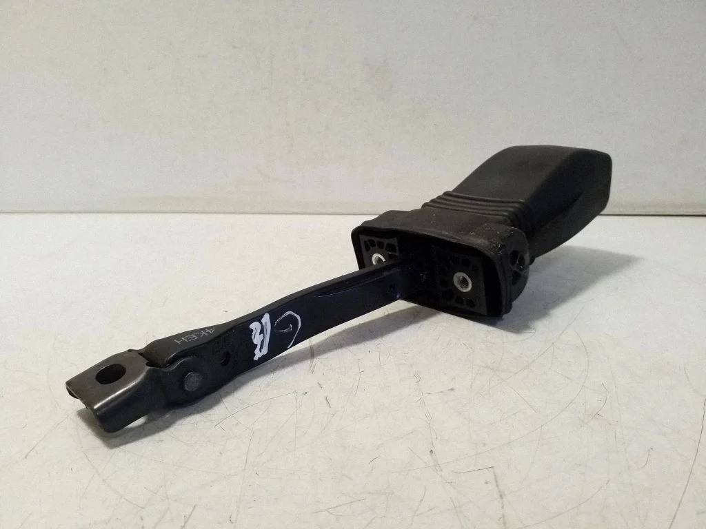 Rear door check strap stopper 4KE839267 – Audi Q4 e-tron (2021-)