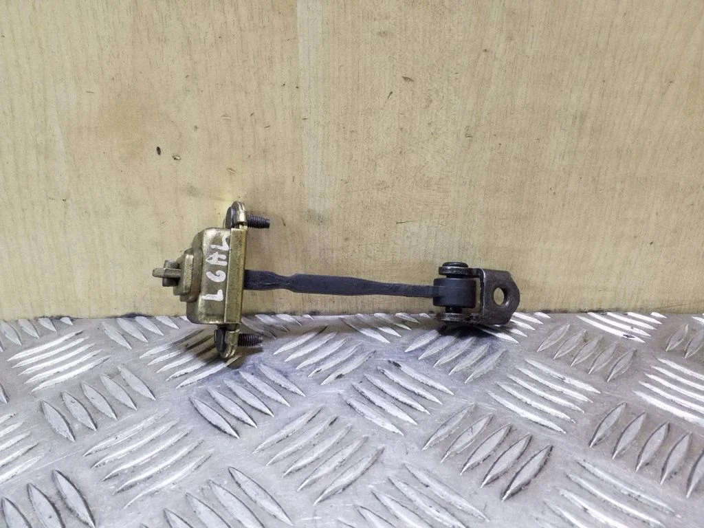 Rear door check strap stopper – rear left