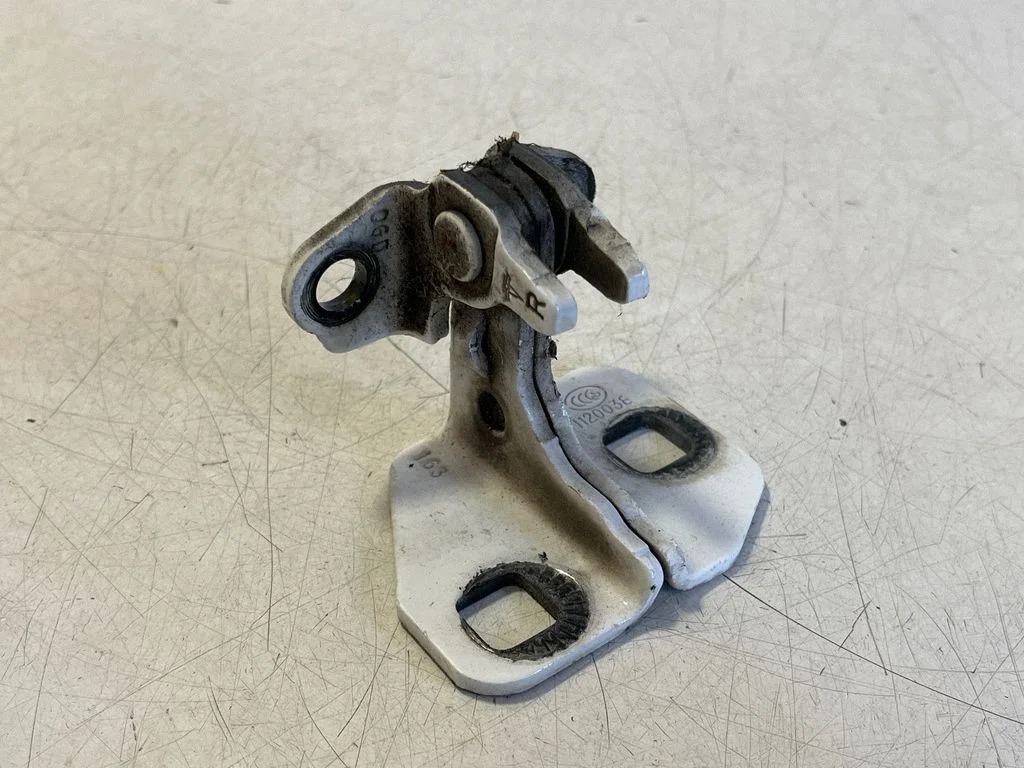 Rear door lower hinge 1120038