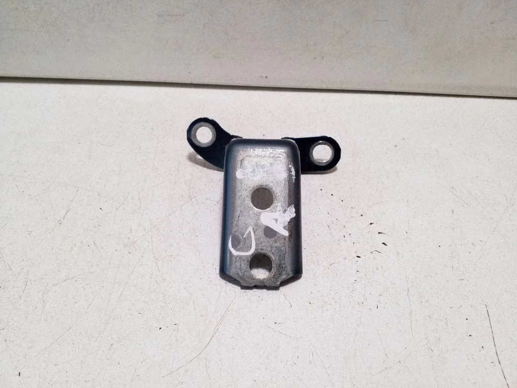 Rear door lower hinge – left
