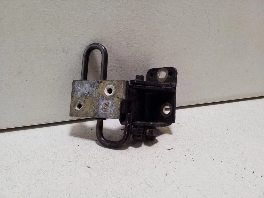Rear door lower hinge 8E0833412