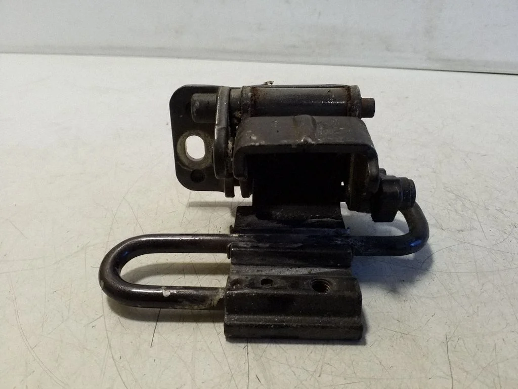Rear door lower hinge 8E0833411