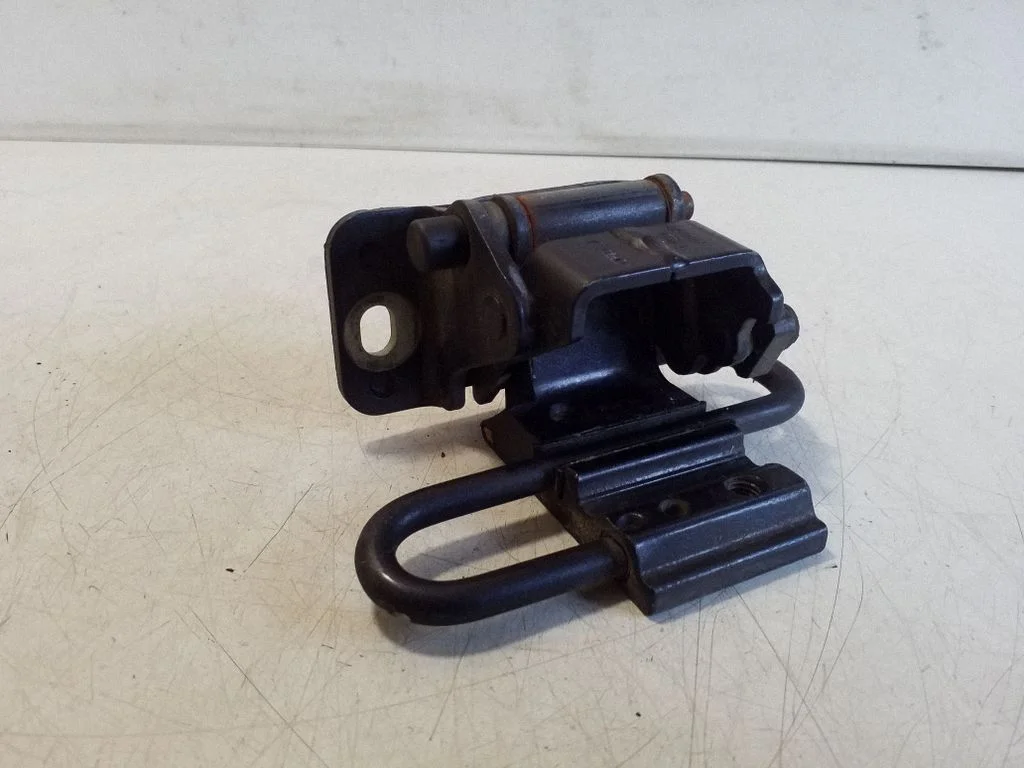 Rear door lower hinge A046572