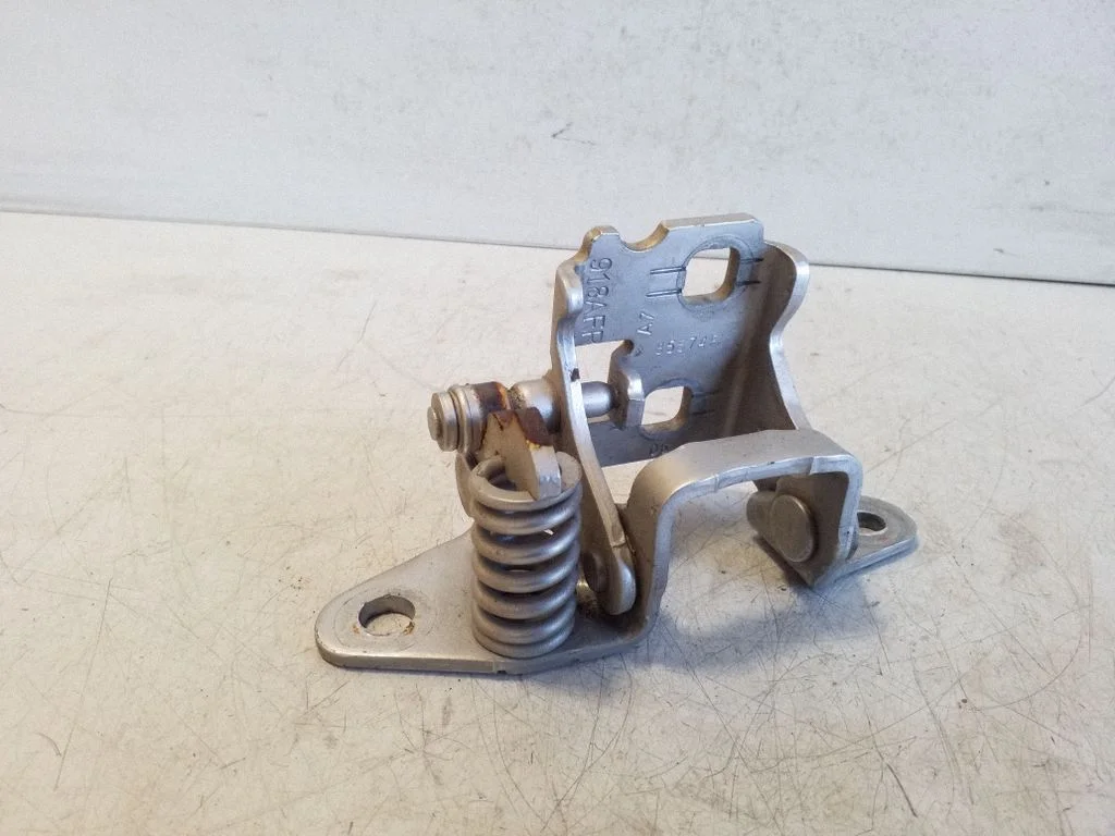 Rear door lower hinge 85574F