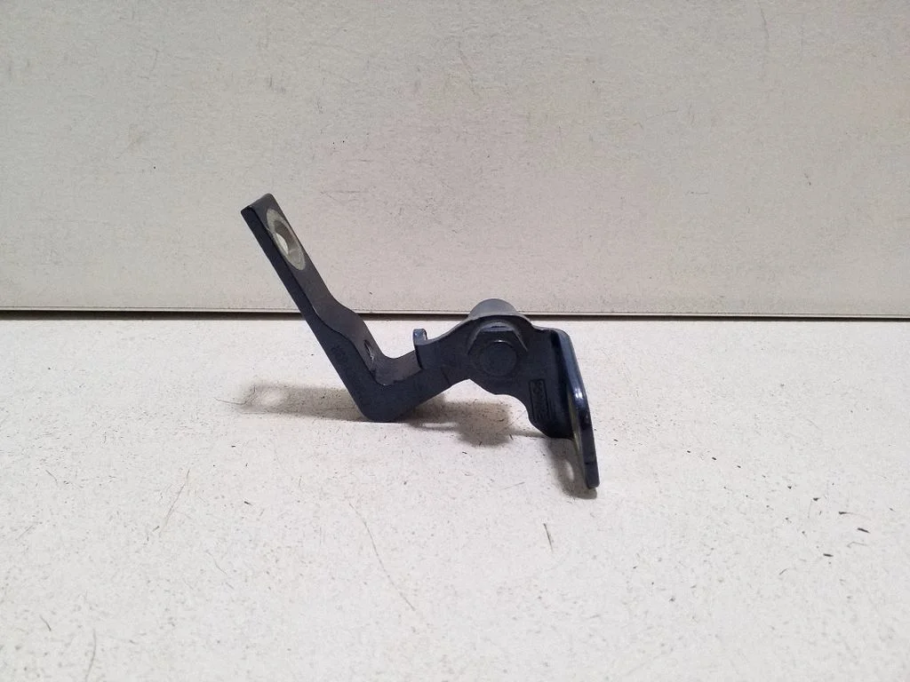 Rear door lower hinge H1BBA26810AD