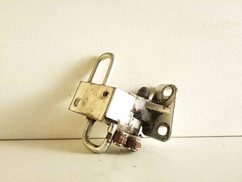Rear door lower hinge – right