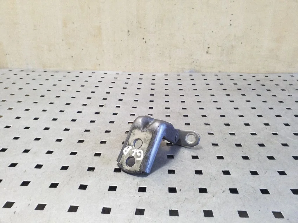 Rear door lower hinge – left