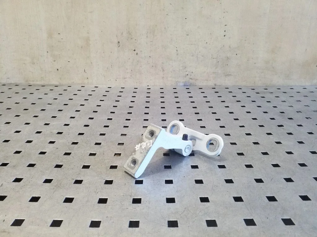 Rear door lower hinge 31424590