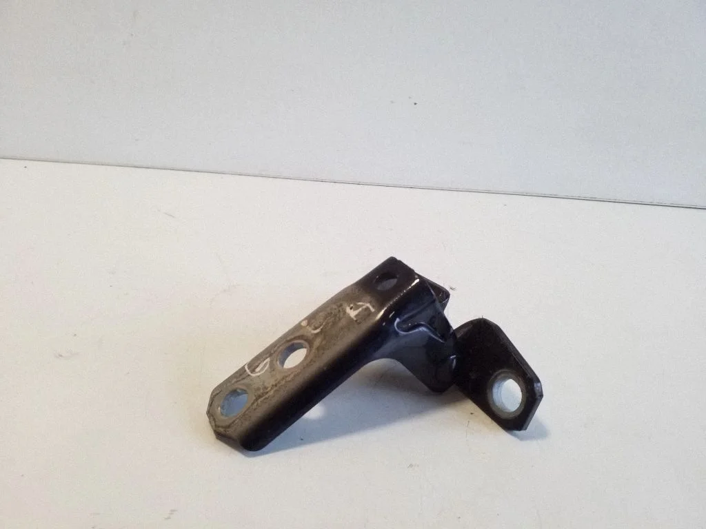 Tagaukse alumine hing – tagumine vasak