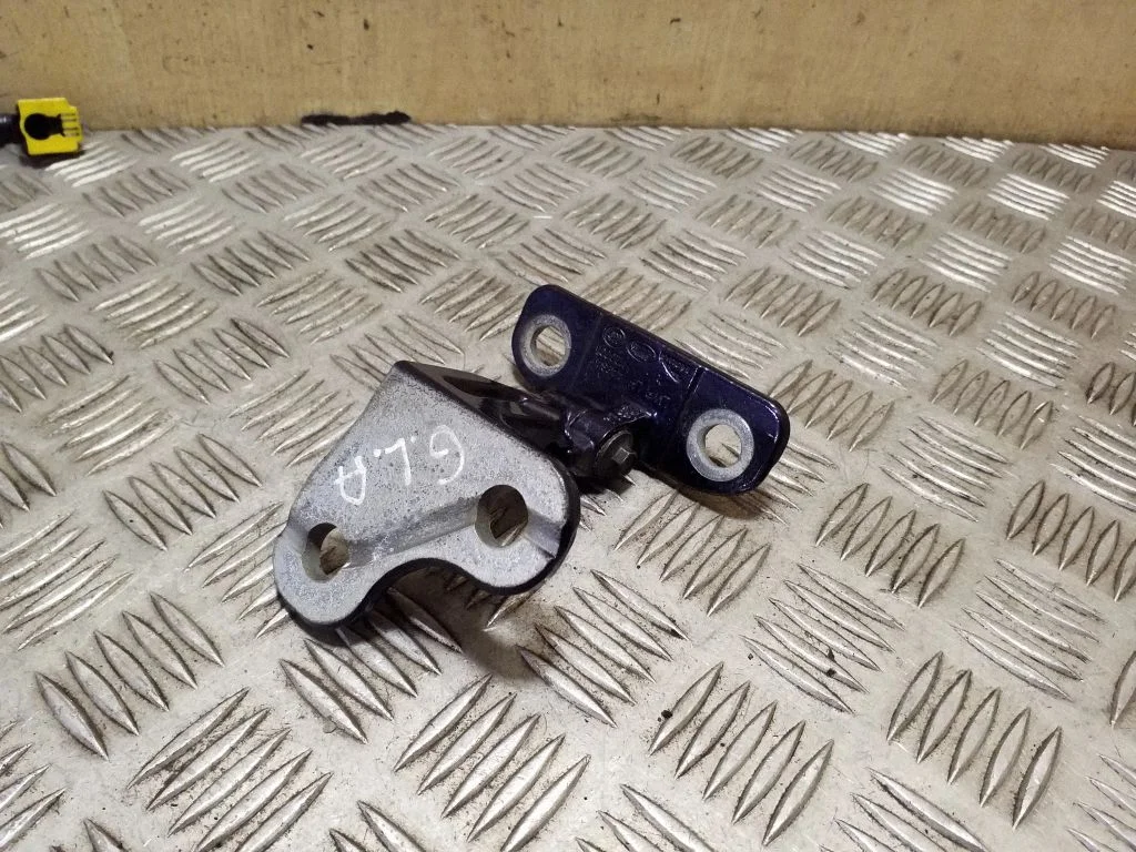 Rear door lower hinge CPLA228A65AC