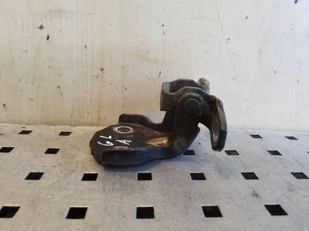 Rear door lower hinge – left