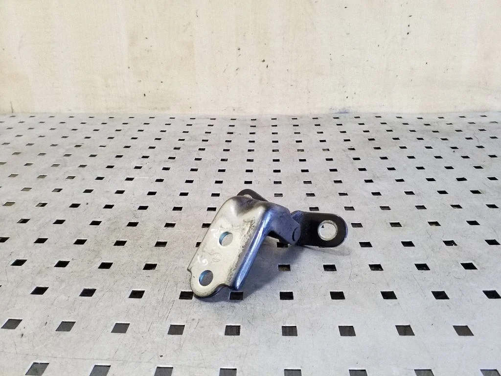 Rear door lower hinge – left