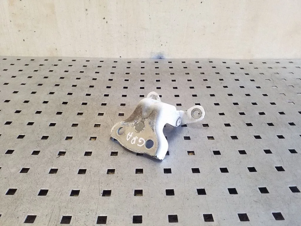 Rear door lower hinge – right