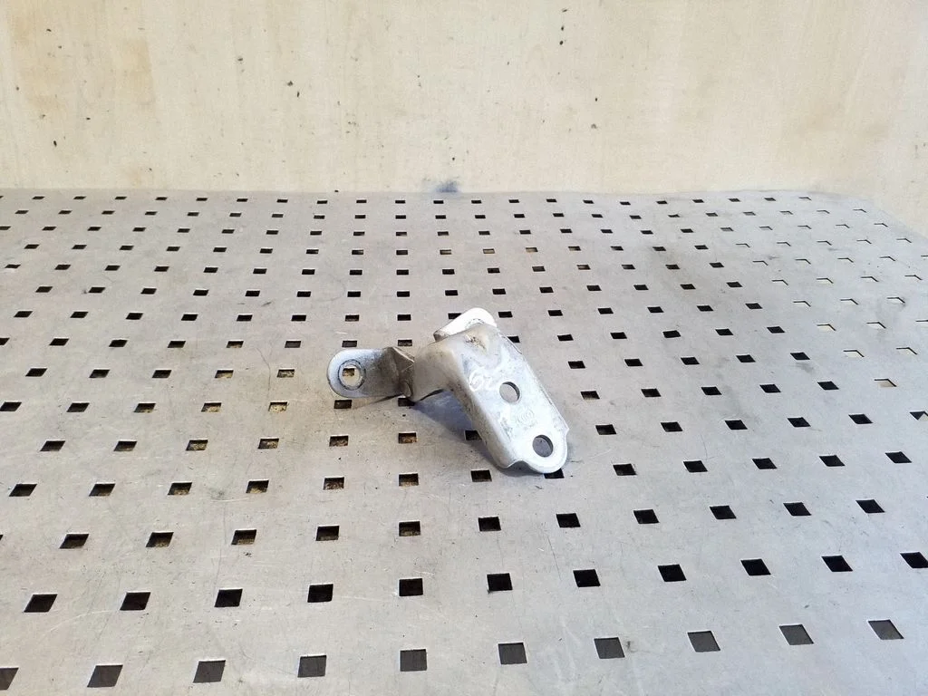 Rear door lower hinge – left