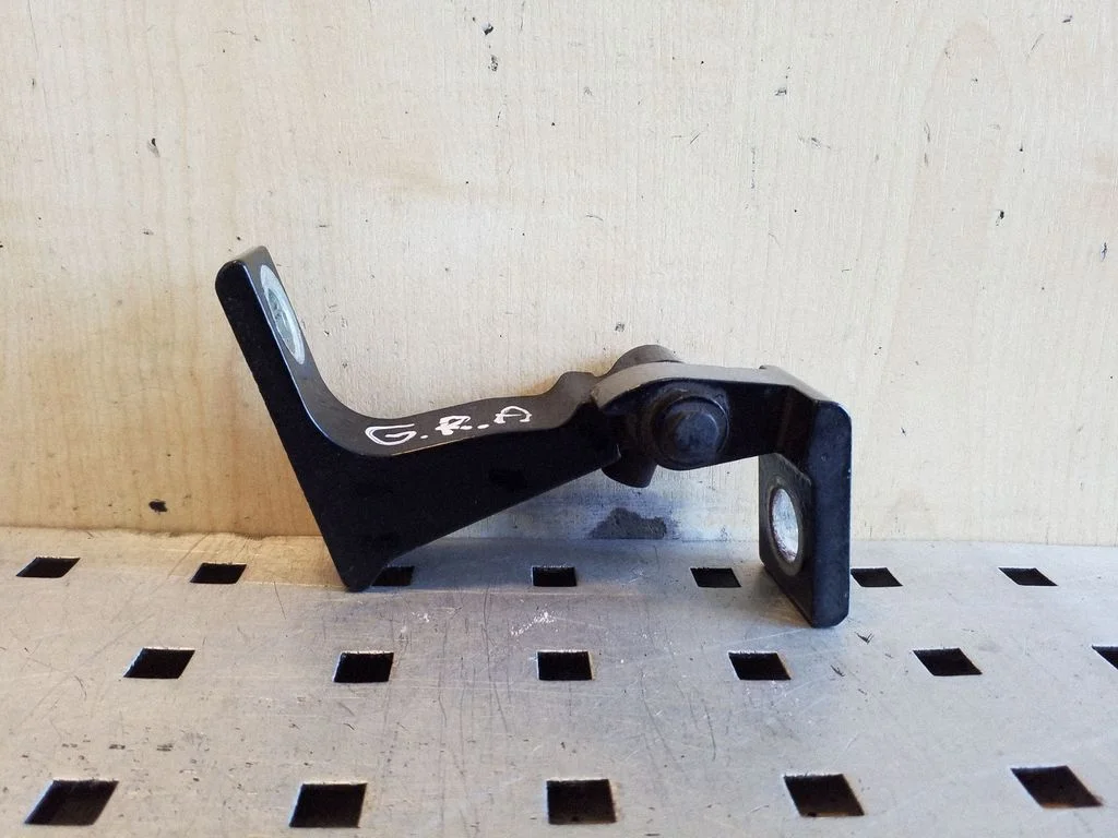 Rear door lower hinge 8T8833402