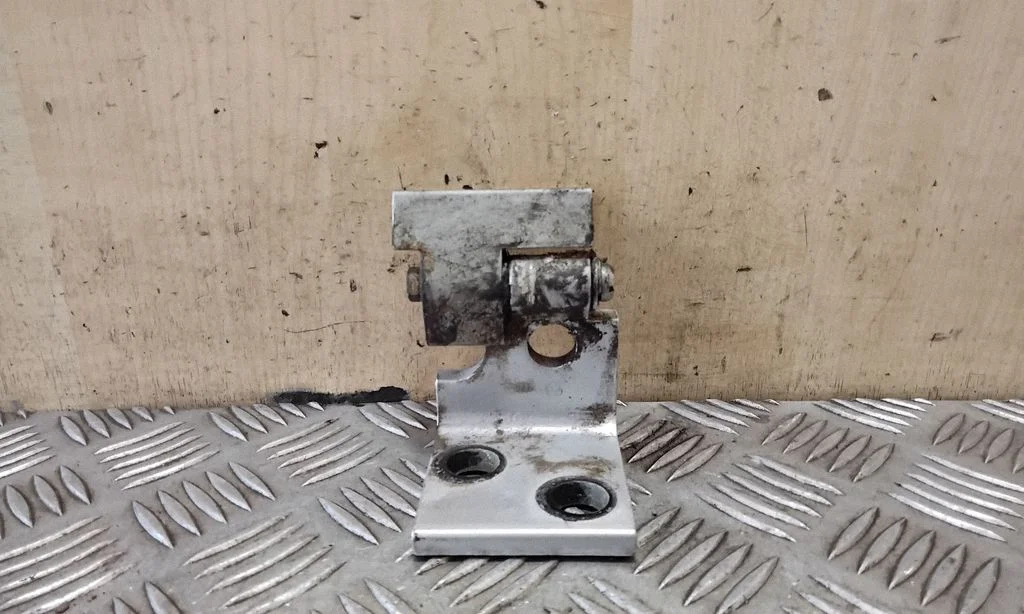 Rear door lower hinge 41528265169