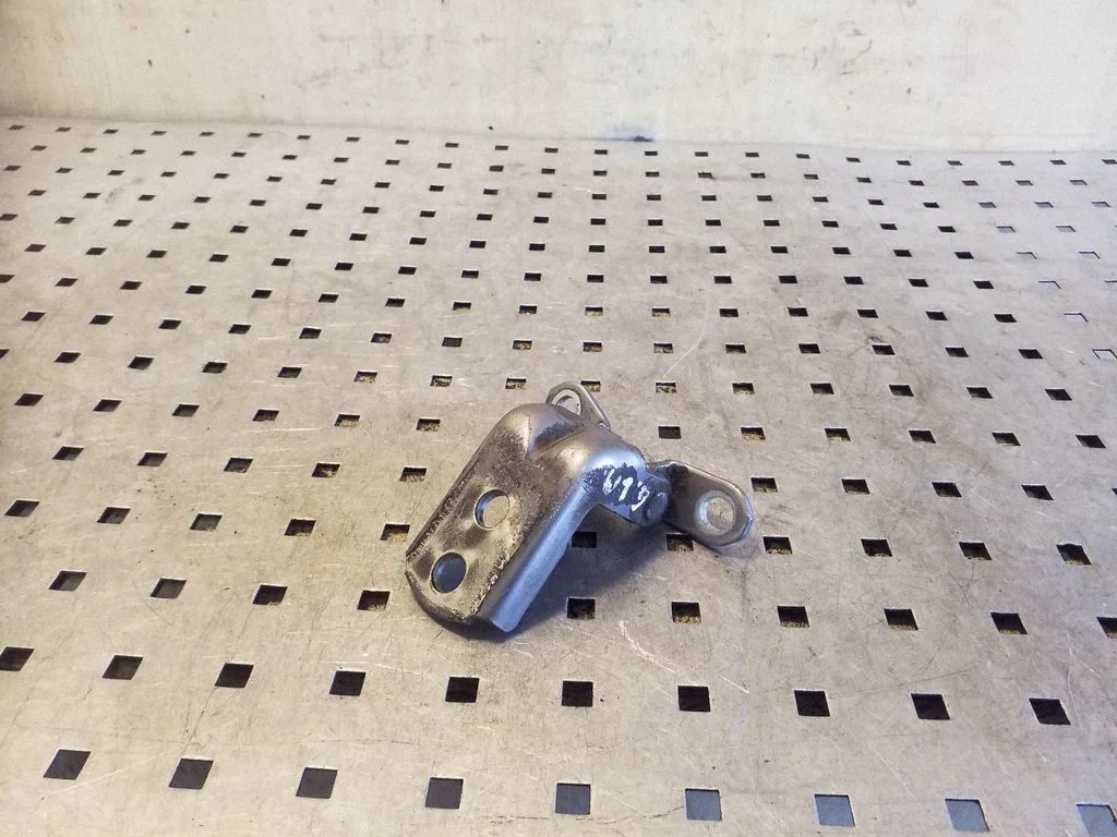 Rear door lower hinge – left