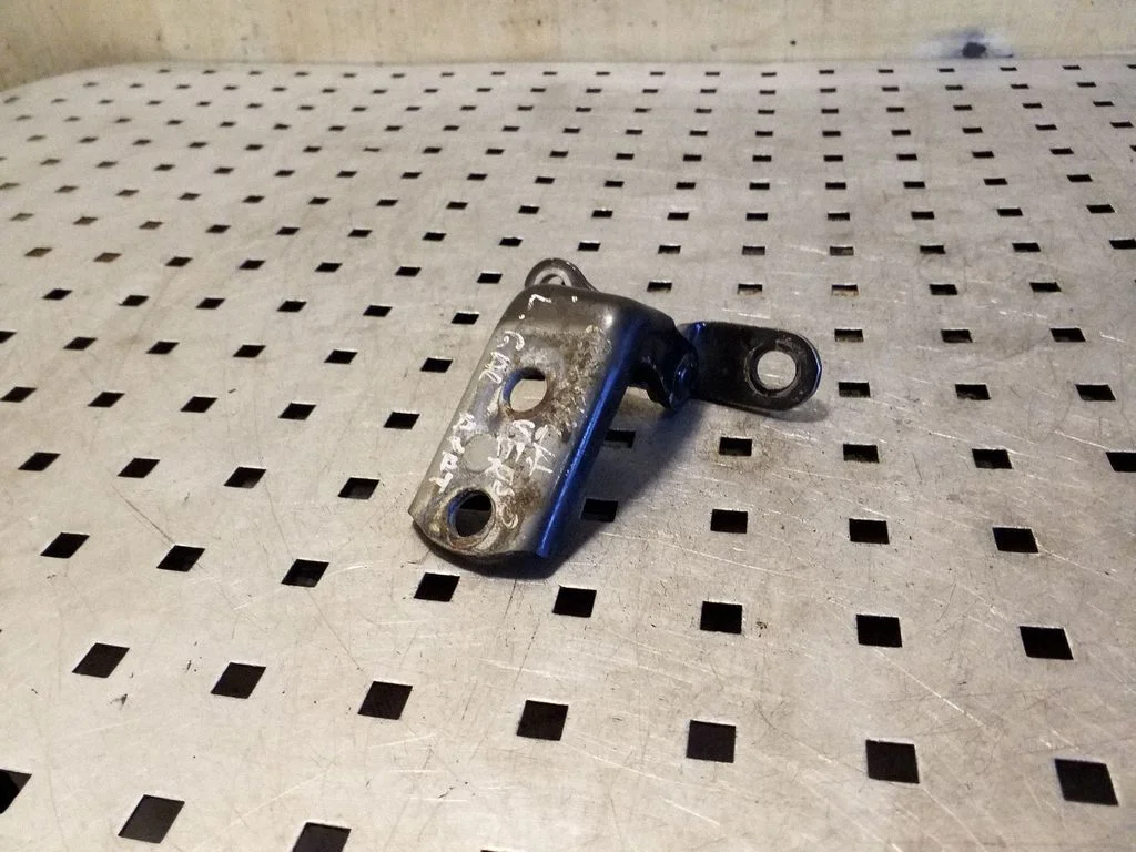 Rear door lower hinge – left