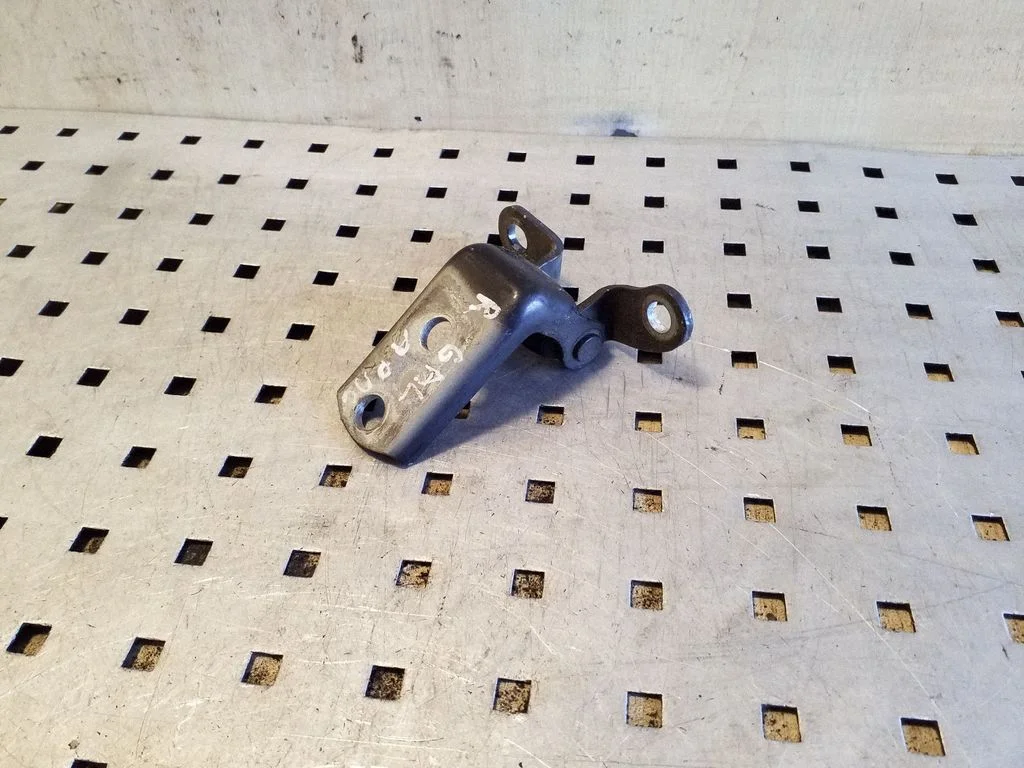Rear door lower hinge – right