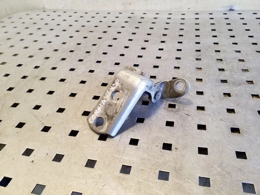 Rear door lower hinge – right