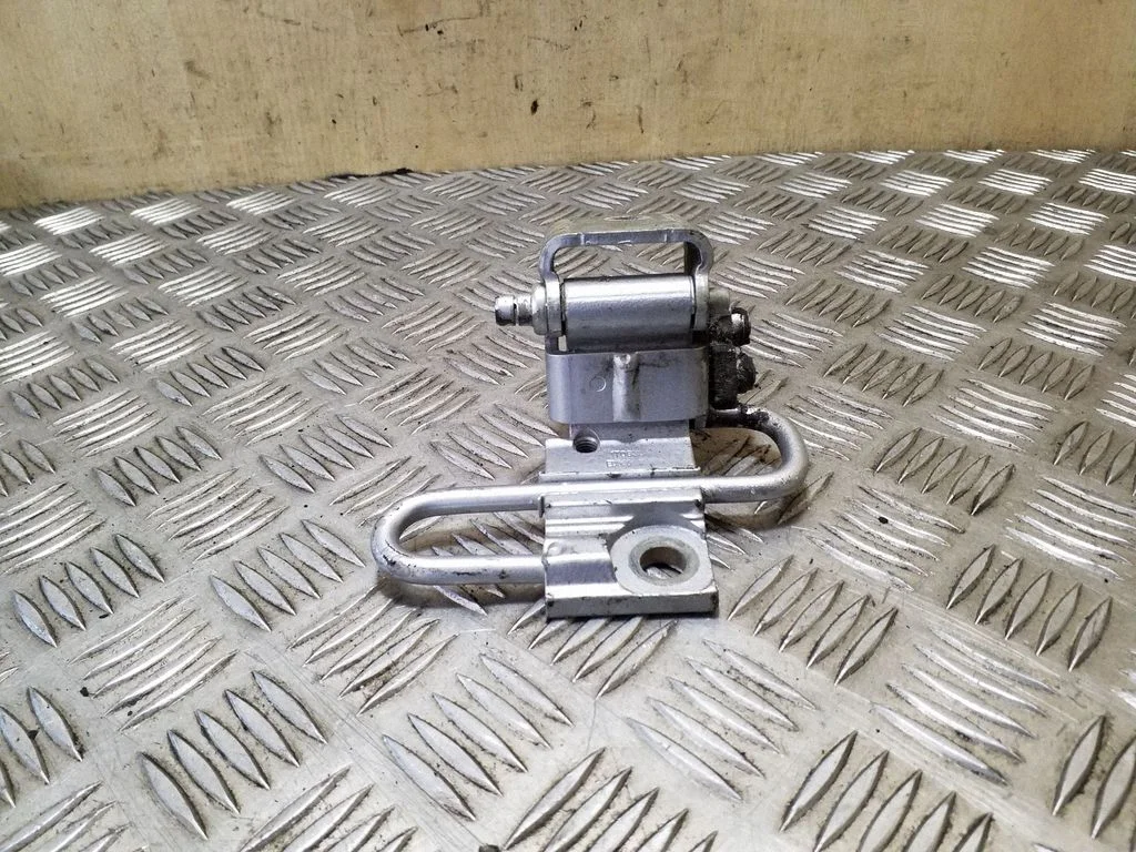 Rear door lower hinge – left