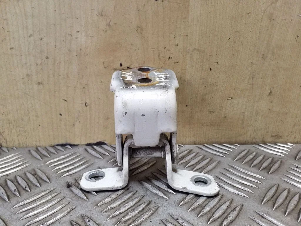 Rear door lower hinge – left