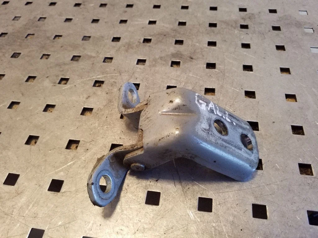 Rear door lower hinge – left