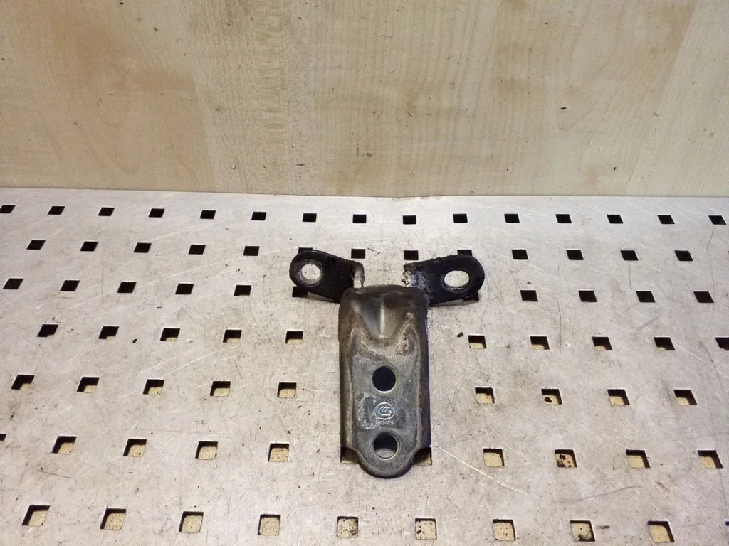 Rear door lower hinge – left