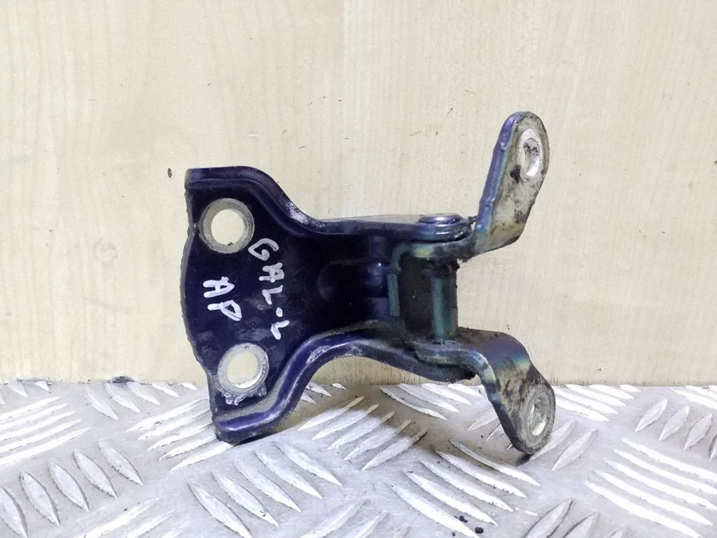 Rear door lower hinge – left