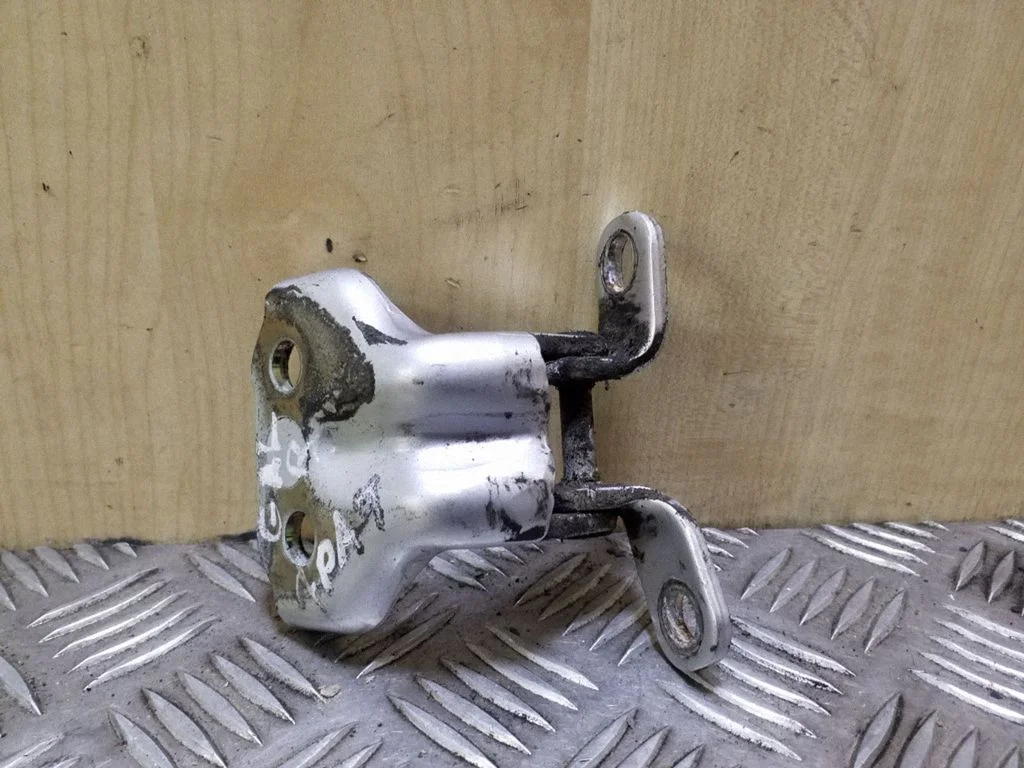 Rear door lower hinge – right