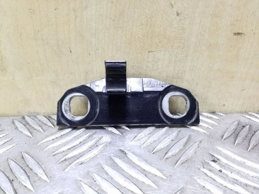 Rear door lower hinge – left