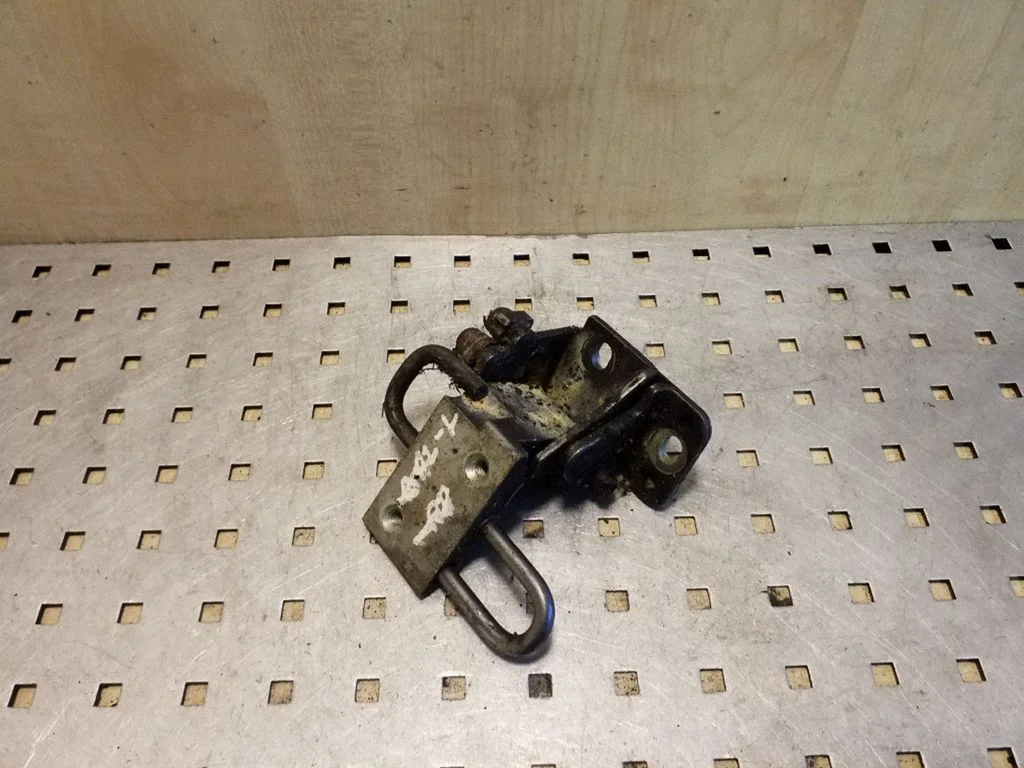 Rear door lower hinge – left