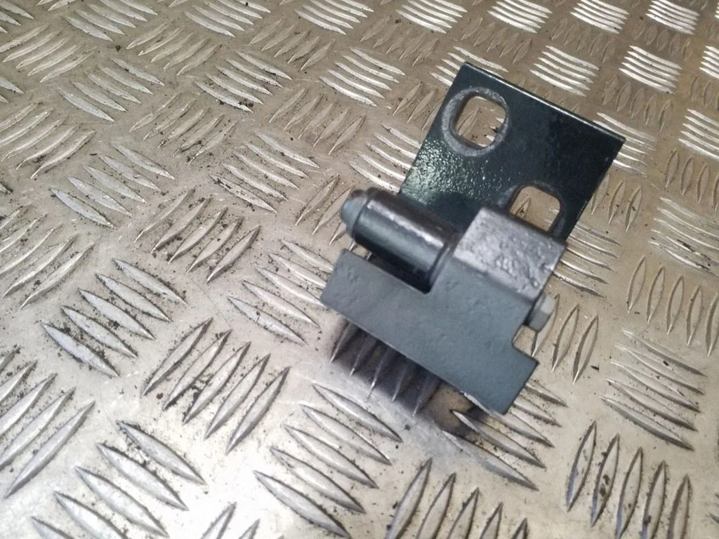Rear door lower hinge 82651679