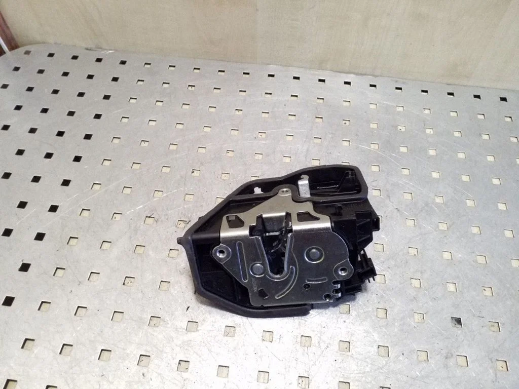 Rear door lock 7202147
