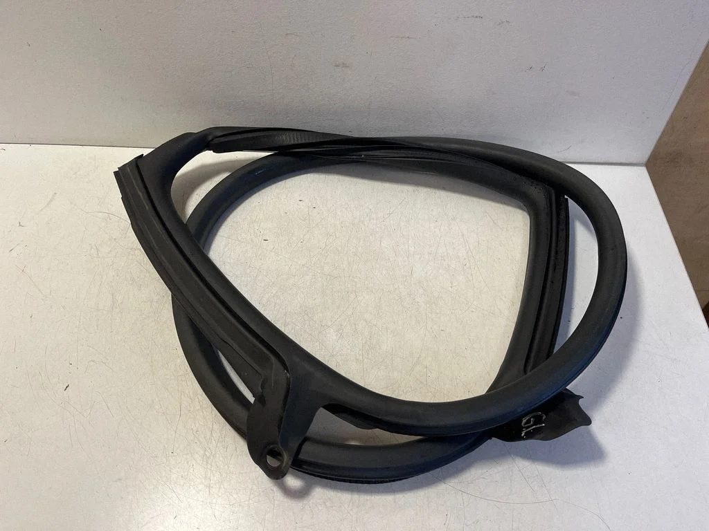 Rear door rubber seal (on body) 9J0833721