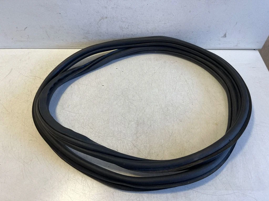 Rear door rubber seal (on body) 2GA867913B