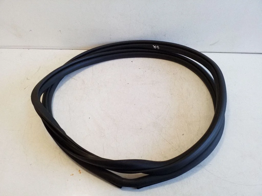 Rear door rubber seal (on body) 62331F4050