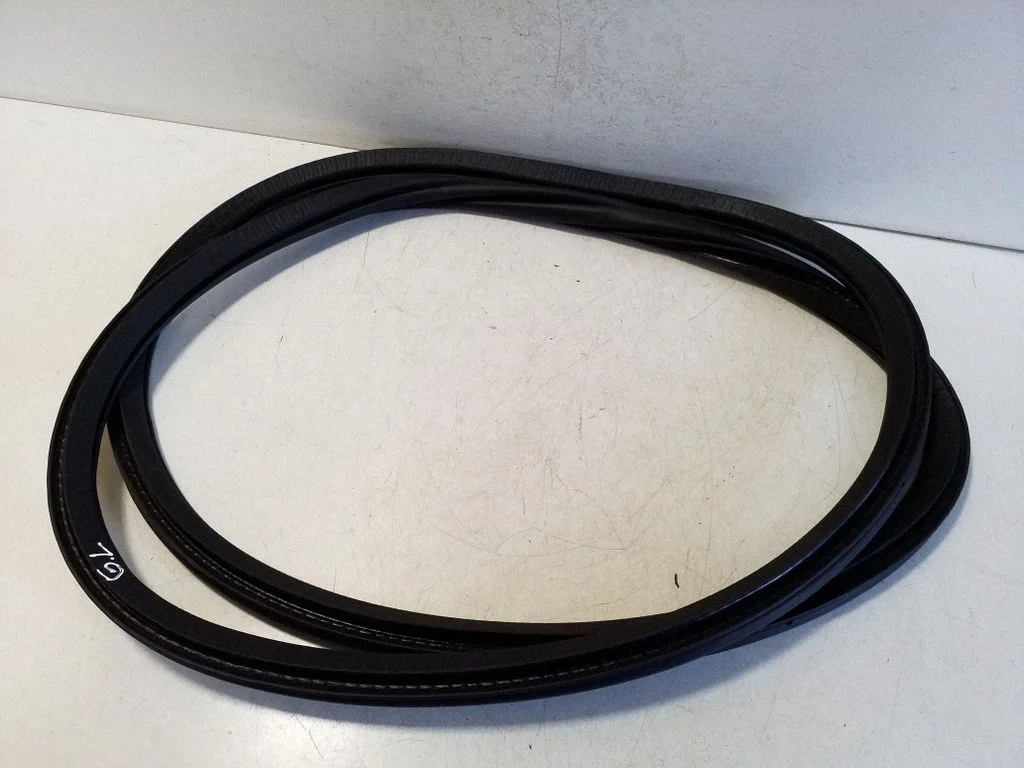 Rear door rubber seal (on body) 32342439