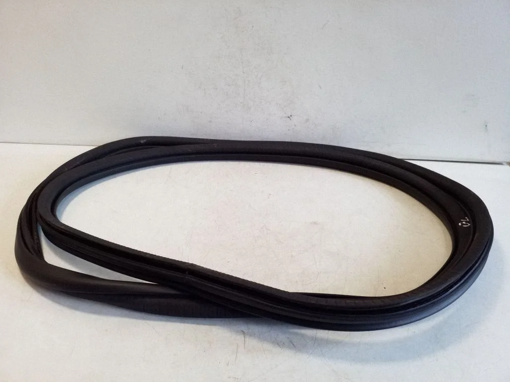 Rear door rubber seal (on body) 9816902580