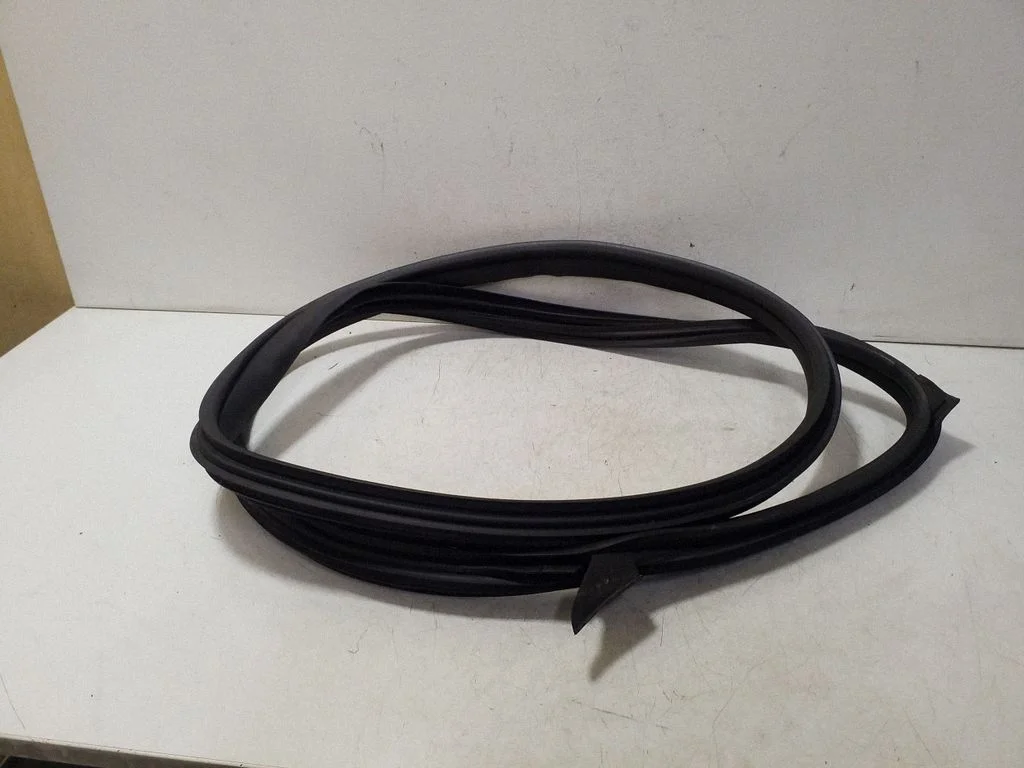 Rear door rubber seal (on body) A2187302078